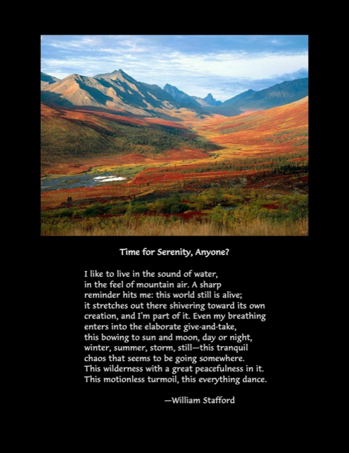 William Stafford's poem, "Time for Serenity, Anyone?" appears below a photo of a mountain valley with stream and hillsides of red and orange flowers.